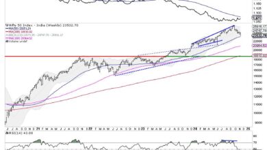 Photo of Week Ahead: NIFTY May See Mild Rebounds; Painful Mean Reversion May Continue