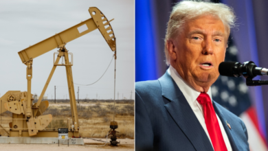 Photo of Expert touts Trump’s energy sector nominations, outlines hopes for administration agenda to spark energy boom