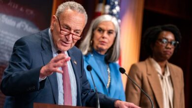 Photo of Trump will appoint ‘dozens’ of judges, experts say, despite Dems ramming through nominees in lame-duck session