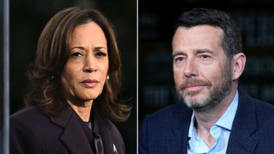 Photo of Harris never led Trump, internal polls showed — but DNC officials were kept in the dark