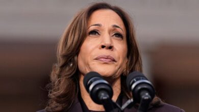 Photo of Harris campaign costs for star-studded events on election eve ballooned to over $10M: report