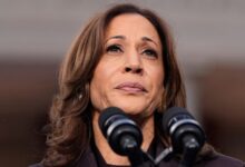 Photo of Harris campaign officials explain what went wrong –  and what Trump did right: report