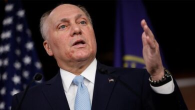 Photo of ‘Down to the wire’: Steve Scalise predicts House control may be decided today