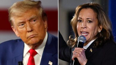 Photo of Trump poised to hit Harris over disastrous jobs report: ‘Hurricane Kamala’