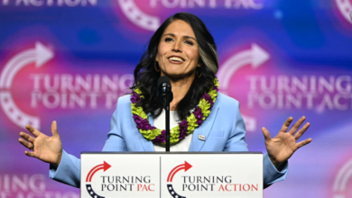 Photo of Tulsi Gabbard on short list of candidates for director of national intelligence job