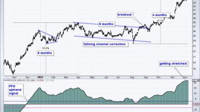 Photo of Fintech is Leading and Providing a Good Hunting Ground for Bullish Stock Setups