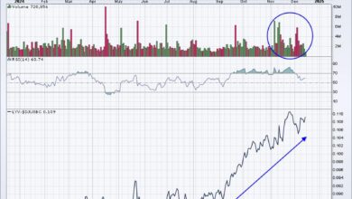 Photo of Identifying GREAT Trades and Looking Ahead to 2025 Using RRG Charts