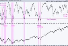 Photo of Is this Bounce a Robust Rebound or a Dead-Cat Bounce?