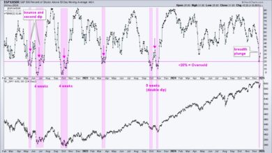 Photo of Is this Bounce a Robust Rebound or a Dead-Cat Bounce?