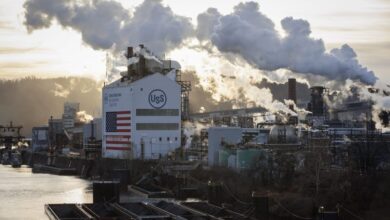 Photo of Biden blocks Japan’s Nippon Steel from $15 billion takeover of U.S. Steel