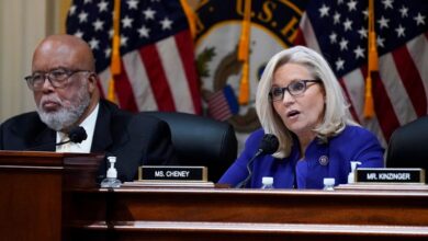 Photo of Biden awards Liz Cheney, Jan 6 committee chairman a medal: US ‘is better because of their dedication’