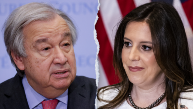 Photo of Trump’s UN ambassador pick Elise Stefanik could save taxpayers millions if taps Musk-Ramaswamy ‘DOGE’