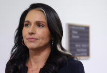 Photo of Tension builds around Tulsi Gabbard’s confirmation with key GOP senators undecided