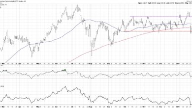 Photo of Top 10 Charts to Watch for February 2025