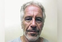 Photo of PEDO Act: Lawmaker moves to protect Epstein files, accuses ‘certain FBI agents’ of trying to destroy docs