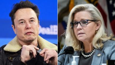 Photo of ‘Damn right’: Liz Cheney’s past USAID employment faces backlash after lashing out at Elon Musk