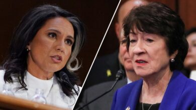 Photo of Crucial moderate GOP senator backs Tulsi Gabbard ahead of committee vote