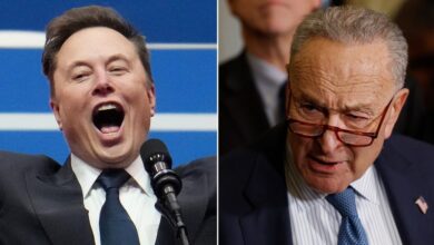 Photo of Elon Musk dunks on Sen Chuck Schumer, declaring ‘Hysterical reactions’ demonstrate DOGE’s importance