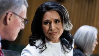 Photo of Tulsi Gabbard confirmation vote kicks off Wednesday morning after snowstorm thwarts midnight session