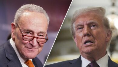 Photo of ‘Making America expensive again’: Democrats find a tax they don’t like in Trump tariffs