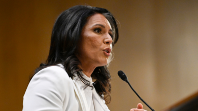 Photo of Tulsi Gabbard faces next test in confirmation battle with key Senate hurdle