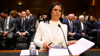 Photo of Trump nominee Tulsi Gabbard clears last hurdle, heads for final confirmation vote