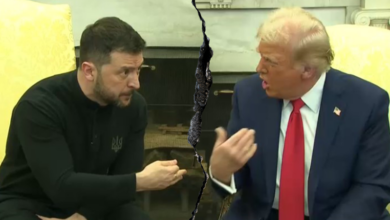 Photo of Conservatives rally around Trump after meeting with Zelenskyy goes off the rails: ‘Absolute dumba–‘