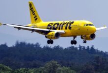 Photo of Spirit Airlines, fresh from bankruptcy, is ready to take on the new Southwest, CEO says