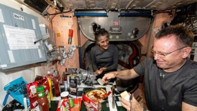 Photo of NASA astronauts stranded in space due to Biden’s ‘lack of courage,’ White House says