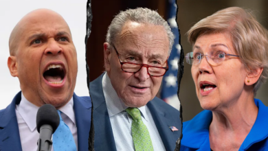 Photo of Conservatives flip script on Senate Dems pushing identical talking points against Trump: ‘Like robots’