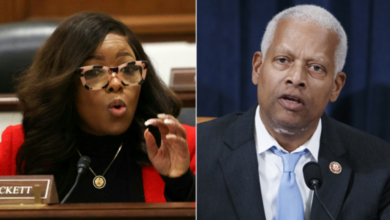 Photo of House Dems suggest Trump is trying to bring back slavery in racially charged livestream: ‘Back to the fields’