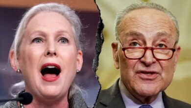 Photo of Dem heard screaming at colleagues despite Schumer’s unity claim as shutdown looms