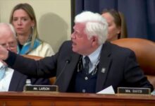 Photo of House Dem goes on screaming rant against Elon Musk, DOGE: ‘Shame!’