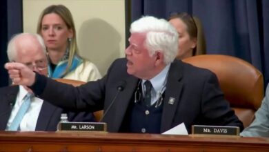 Photo of House Dem goes on screaming rant against Elon Musk, DOGE: ‘Shame!’