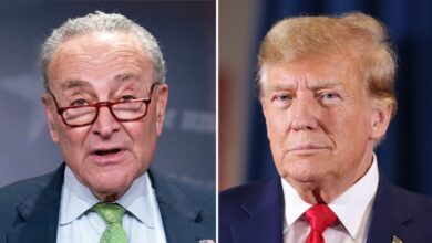 Photo of Chuck Schumer will vote to keep government open: ‘For Donald Trump, a shutdown would be a gift’